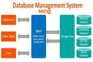 Read more about the article Database Management System Multiple Choice Questions  with Answers