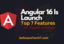 1. Angular Signals 2. Server-Side Rendering 3. Experimental Jest Support 4. esbuild-Based Build System 5. Required Inputs 6. Router Inputs 7. Standalone Project Support Other Features Related Blogs:-